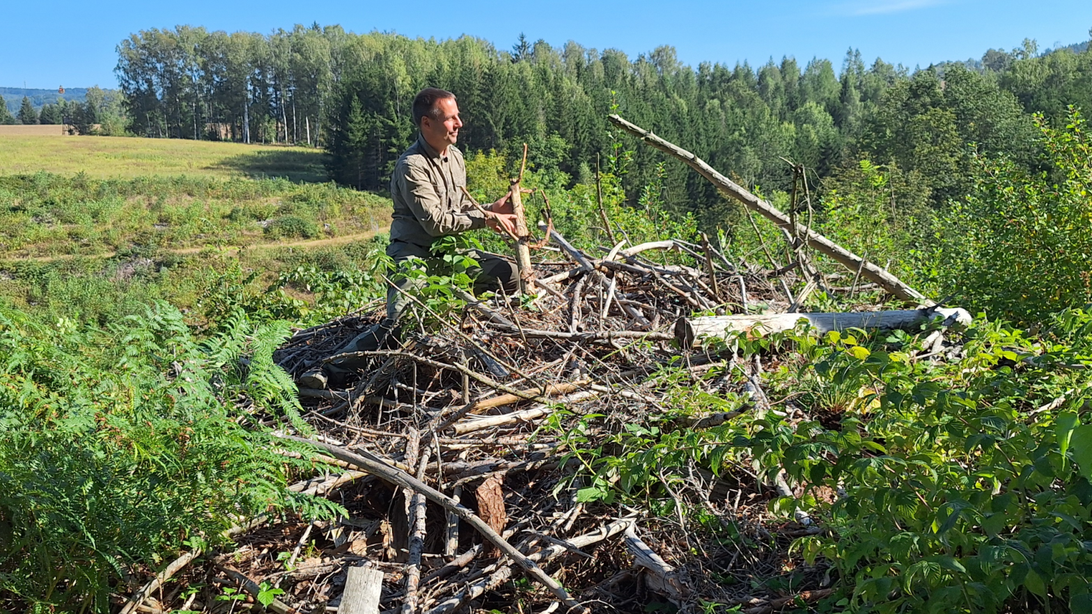 Christian Steinke, Diplom-Förster bei der Stiftung "Wald für Sachsen".