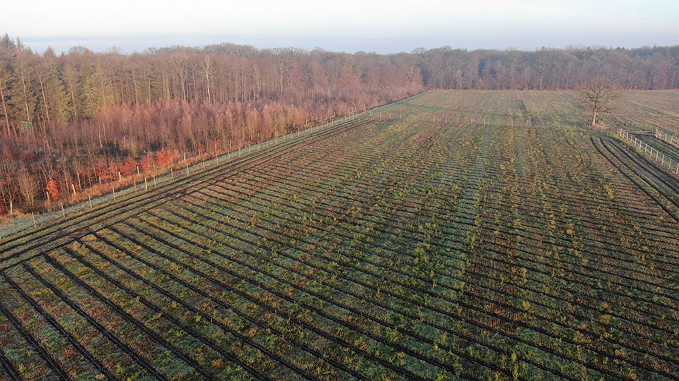 bepflanzter-acker_imageslider