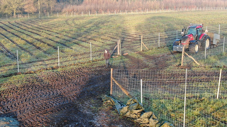 pflanzaktion-traktor_imageslider