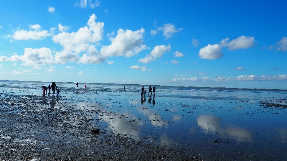 wattenmeer_imageslider