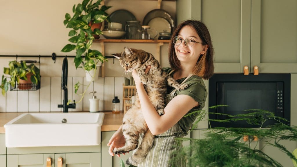 Neu bei bessergrün: Die nachhaltige Hausratversicherung der NV