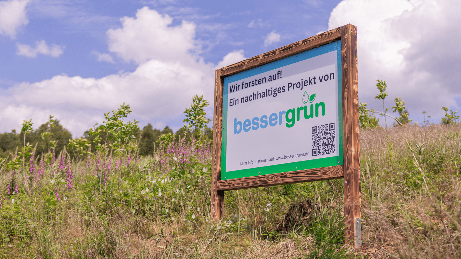 bessergrün pflanzt fast 70.000 Bäume in 2024