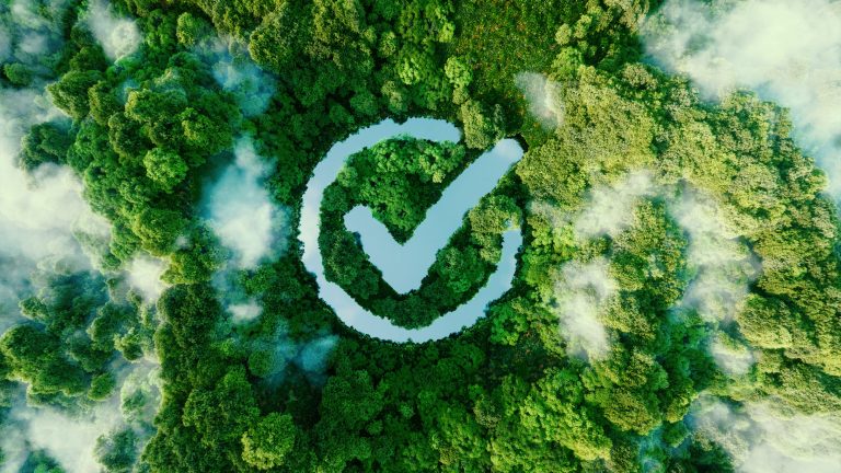 2024: Deutschland hat seine Klimaziele erreicht